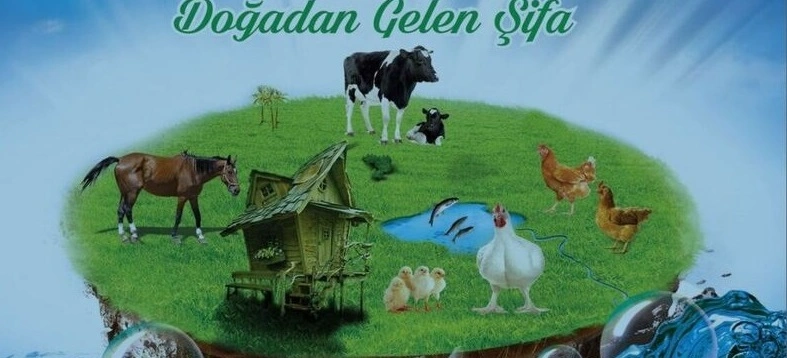 Veteriner İlaçları ve Yem Katkılar